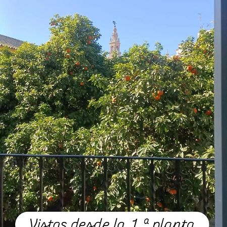 Apartamentos En La Plaza Dona Elvira, 7 Sevilla Bagian luar foto