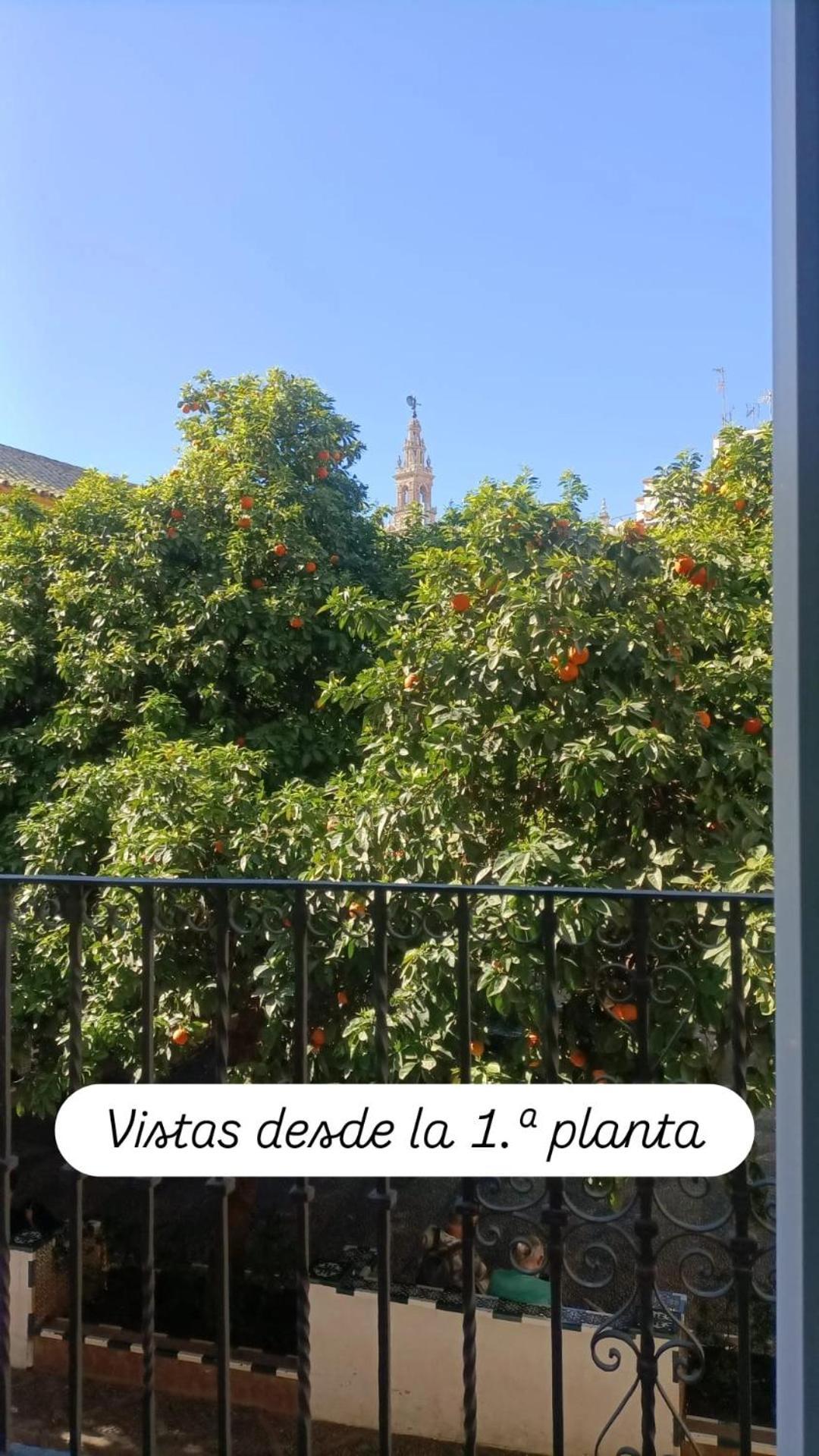 Apartamentos En La Plaza Dona Elvira, 7 Sevilla Bagian luar foto