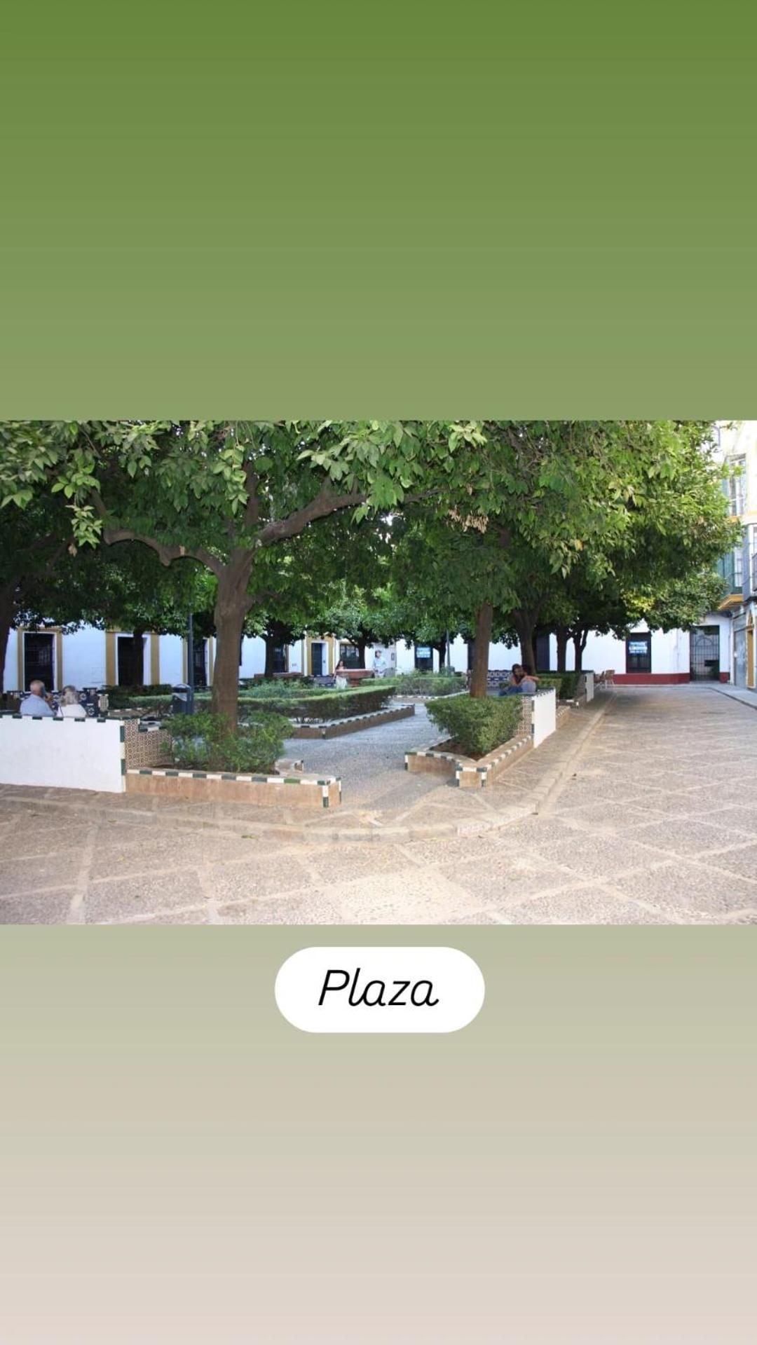 Apartamentos En La Plaza Dona Elvira, 7 Sevilla Bagian luar foto